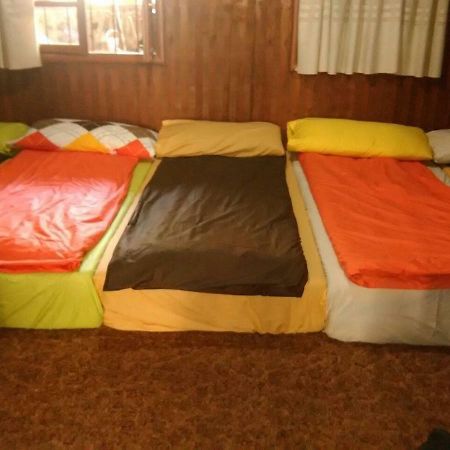 Tiger House Guest House Бішарі Екстер'єр фото