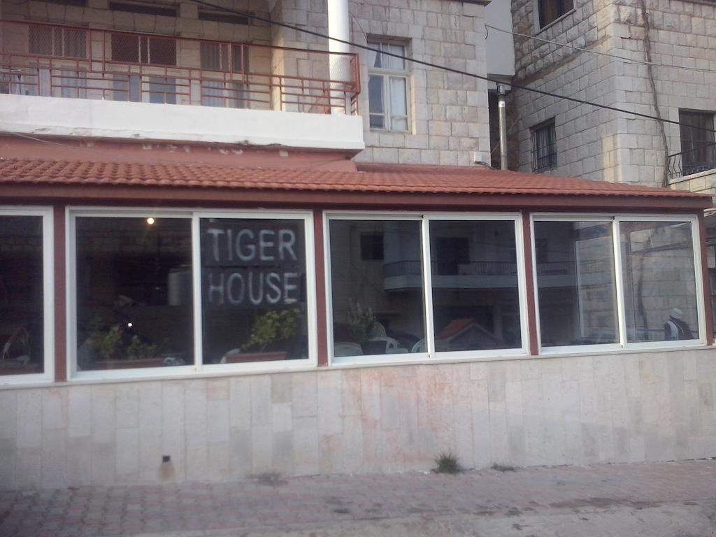 Tiger House Guest House Бішарі Екстер'єр фото