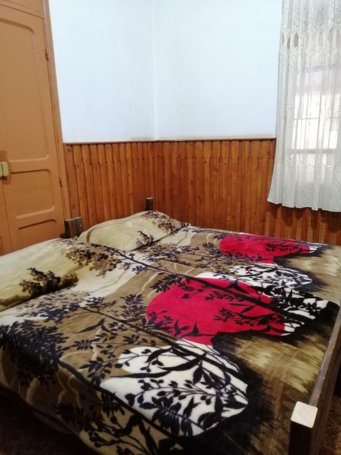 Tiger House Guest House Бішарі Екстер'єр фото