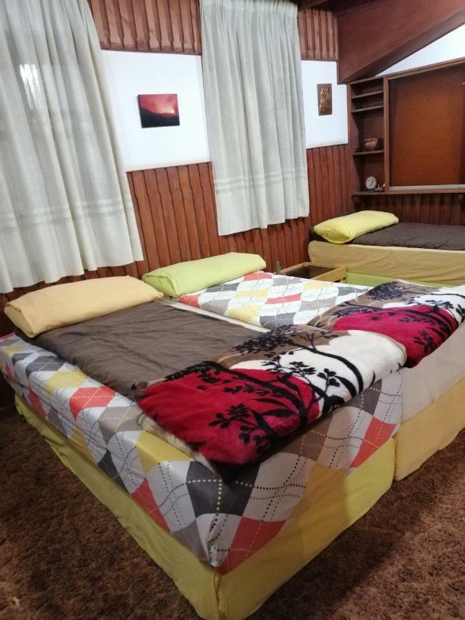 Tiger House Guest House Бішарі Екстер'єр фото