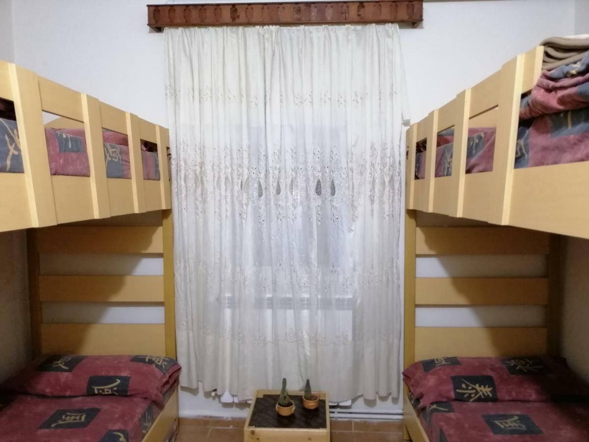 Tiger House Guest House Бішарі Екстер'єр фото
