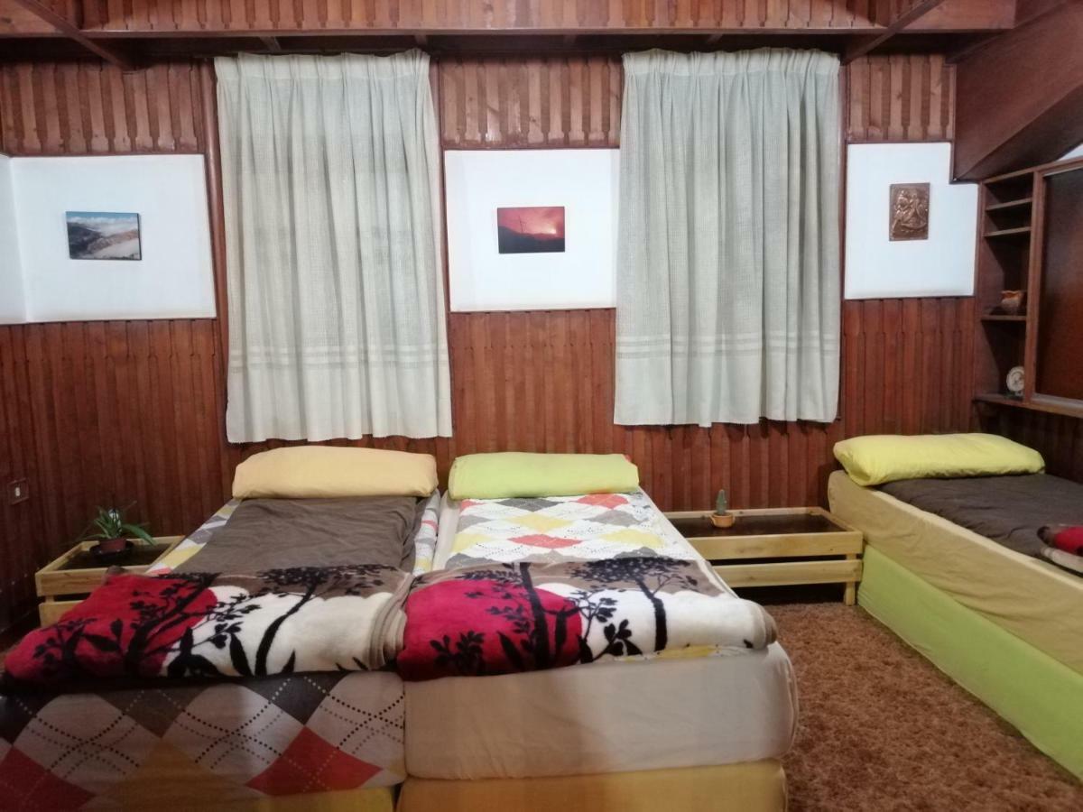 Tiger House Guest House Бішарі Екстер'єр фото