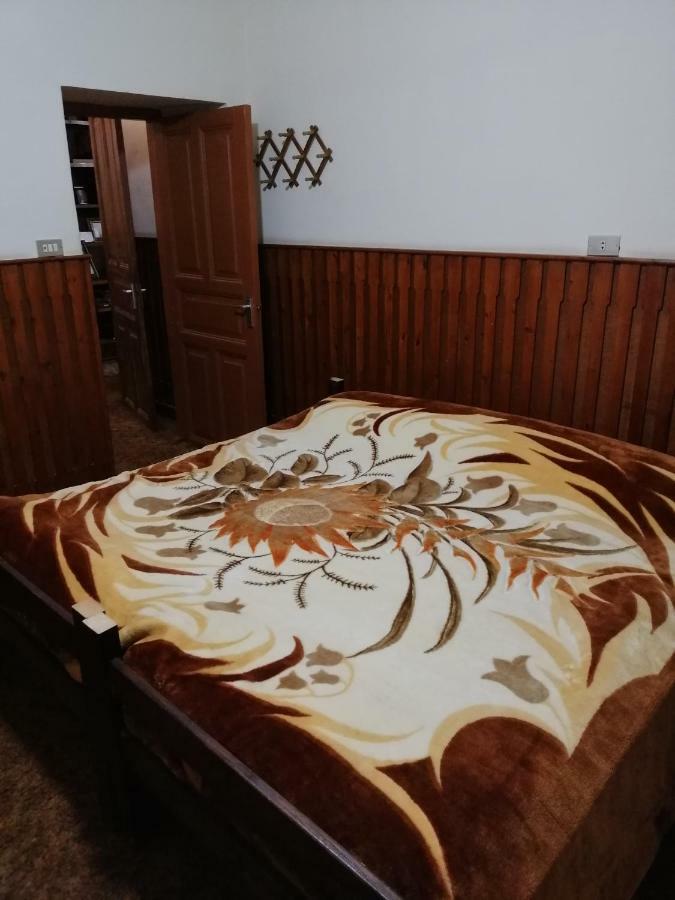 Tiger House Guest House Бішарі Екстер'єр фото