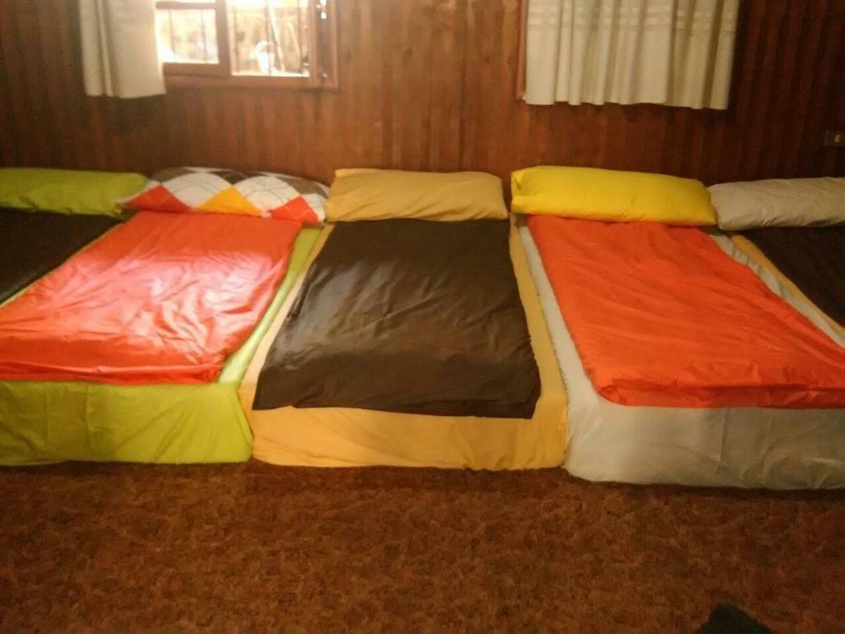 Tiger House Guest House Бішарі Екстер'єр фото